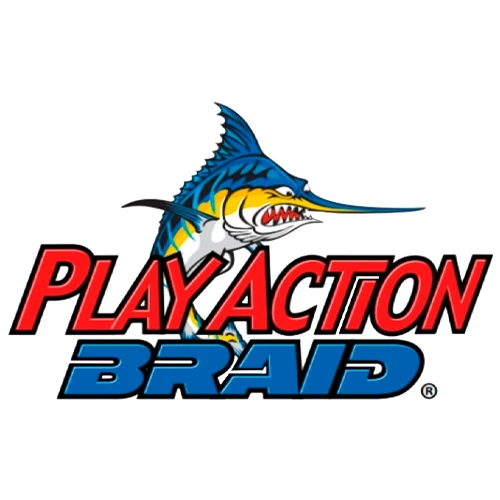 PlayAction Sports